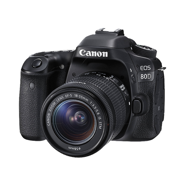 Donec ullamcorper turpis - الصورة 3