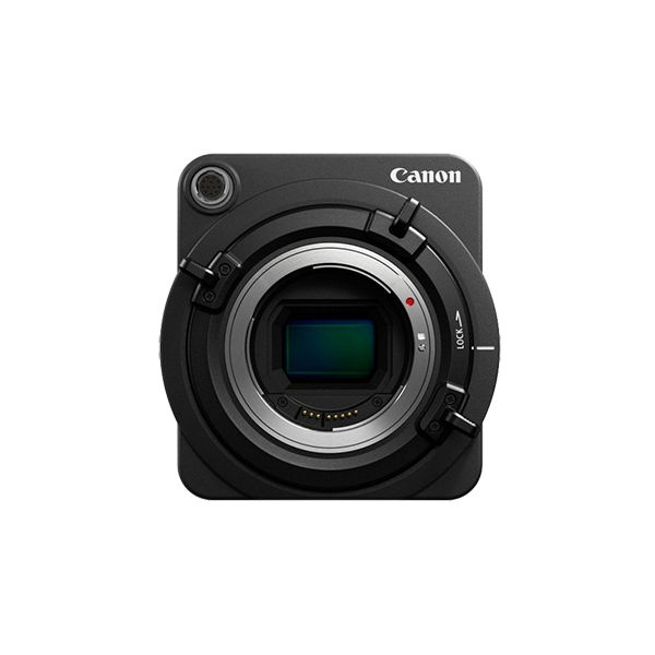 Donec ullamcorper turpis - الصورة 4